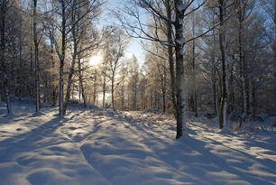 Tiszta levegő
